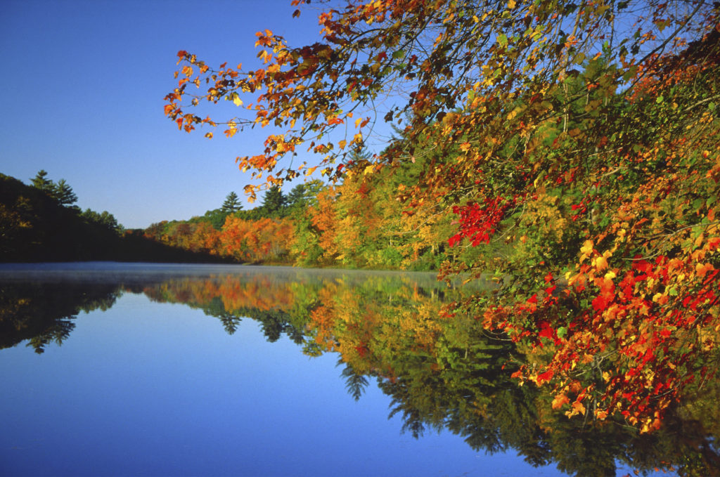 fall-leaves-water - Student Success