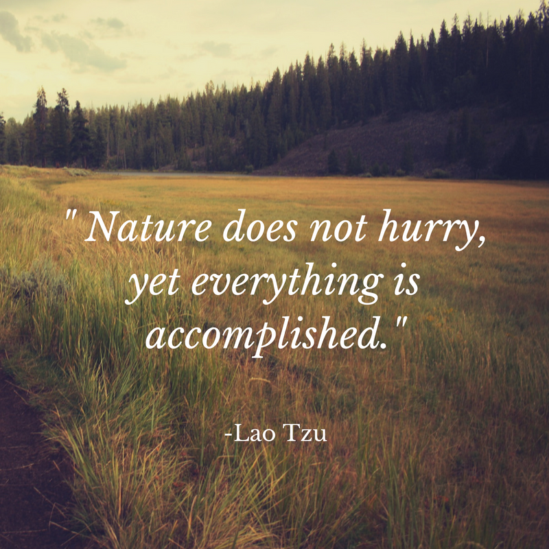 nature-does-not-hurry-yet-everything-is-accomplished - Academic Success